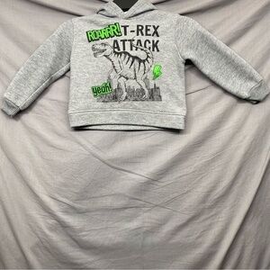 Swiggles T-Rex Hoodie Gray‎ Size | 4T